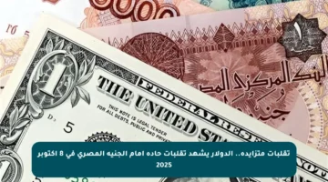تقلبات متزايدة.. الدولار يشهد تقلبات حادة أمام الجنيه المصري في 8 أكتوبر 2025